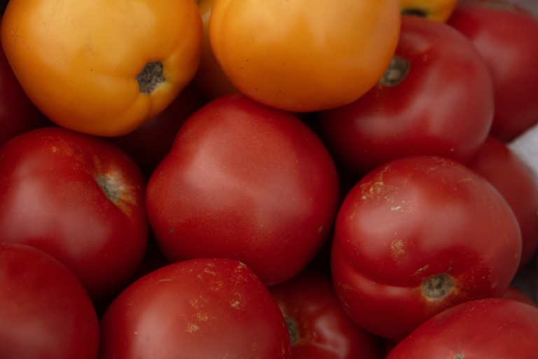 tomatos