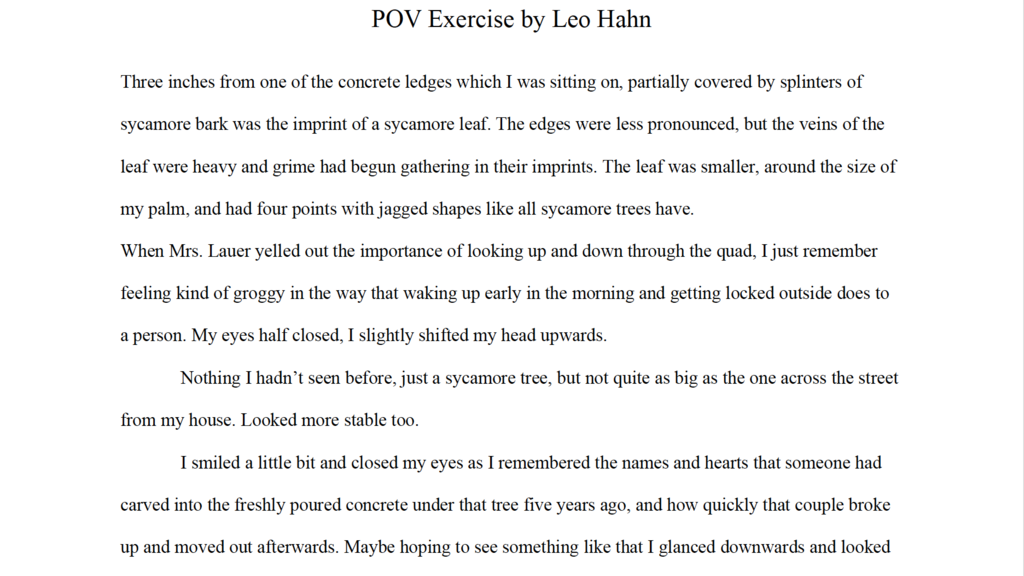 Preview of Leo H.'s POV project 